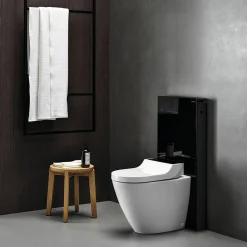 AquaClean Tuma Comfort