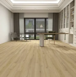 Aquatus SPC, Anori Ek
