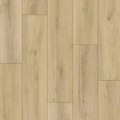 Aquatus SPC, Anori Ek