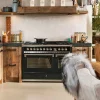 Ascot Combi - Steam 120 cm Rostfri med Två Ugnar