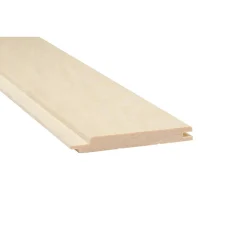 Asp STP 15x120mm 6st/pkt