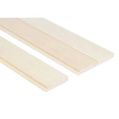 Asp STS4 15x90mm 6st/pkt