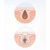 Facial Care