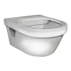 Hygienic Flush 5G84