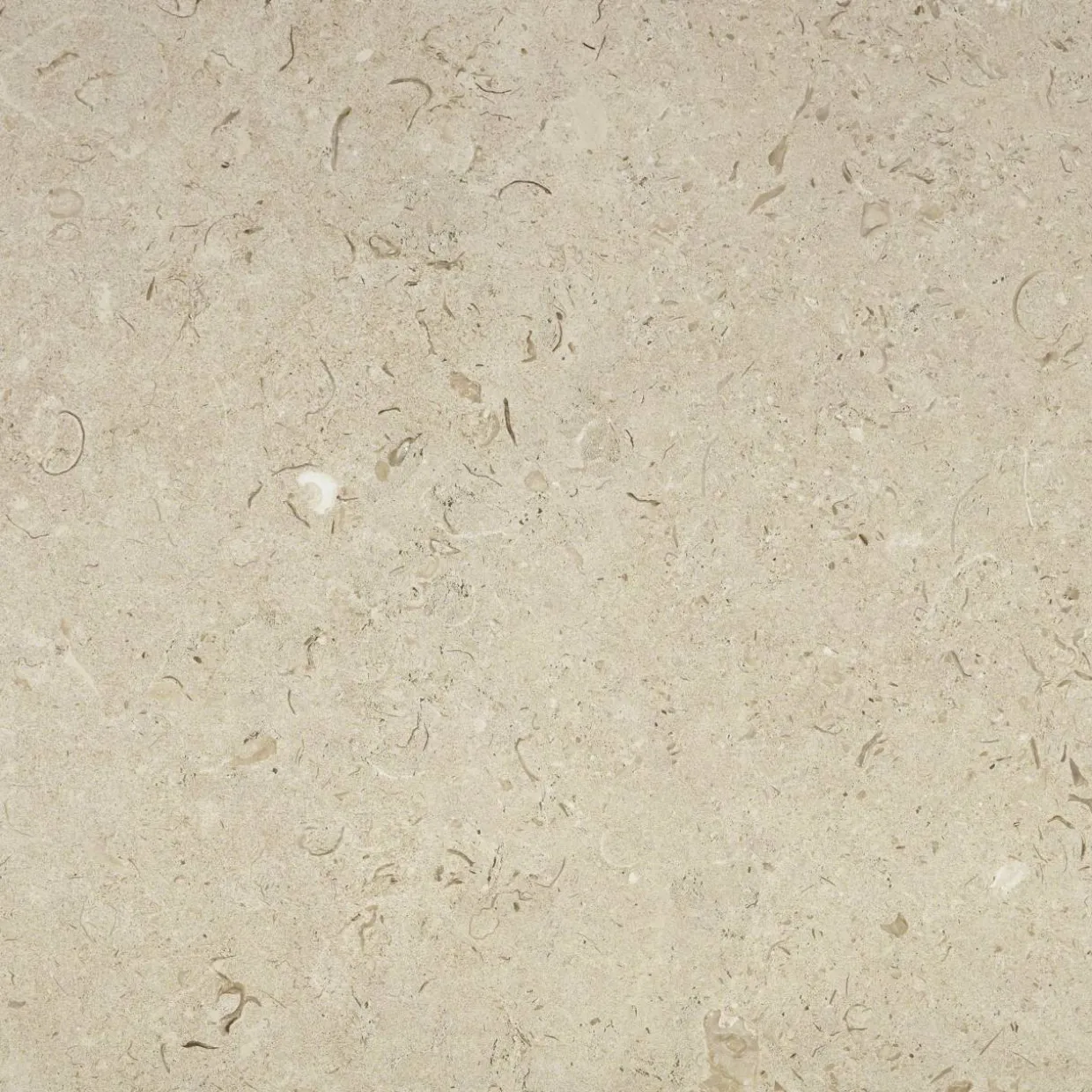 Kalksten Norr Beige Matt 60x60 cm