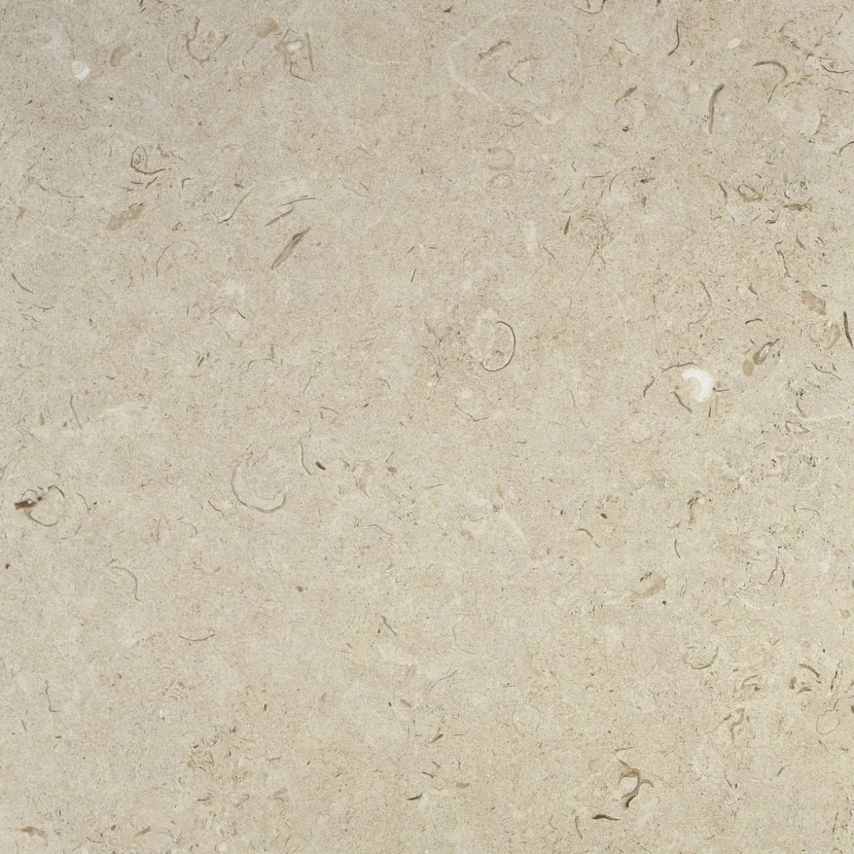 Kalksten Norr Beige Matt 60x60 cm