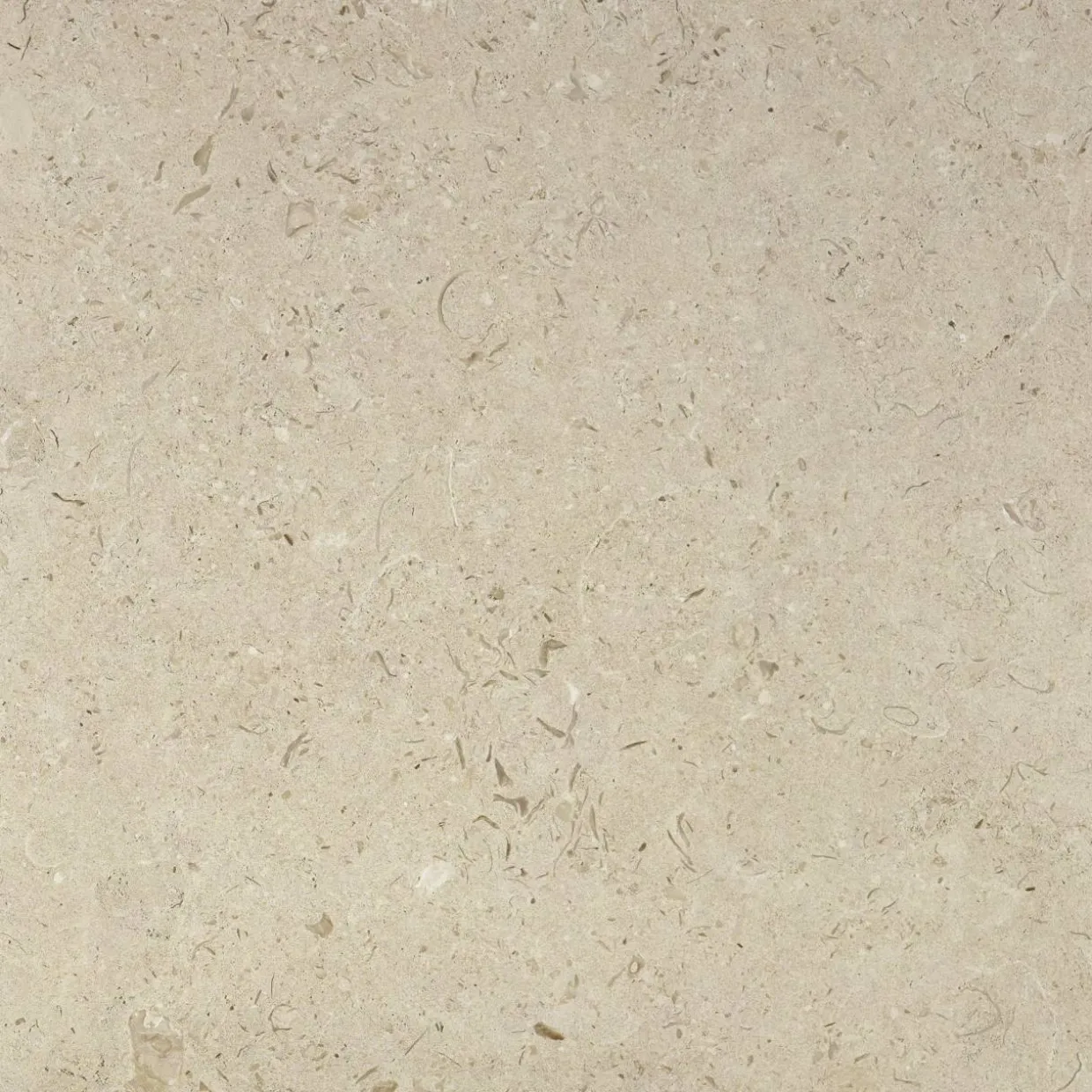 Kalksten Norr Beige Matt 60x60 cm