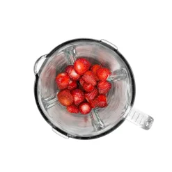 1,5L 600W Glaskanna BL310 Rostfri