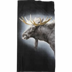 Älg