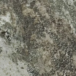 M1515 Kolmården 15x15 cm