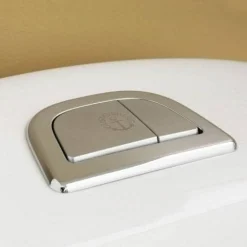 Nautic 1500 Hygienic Flush för Skruv