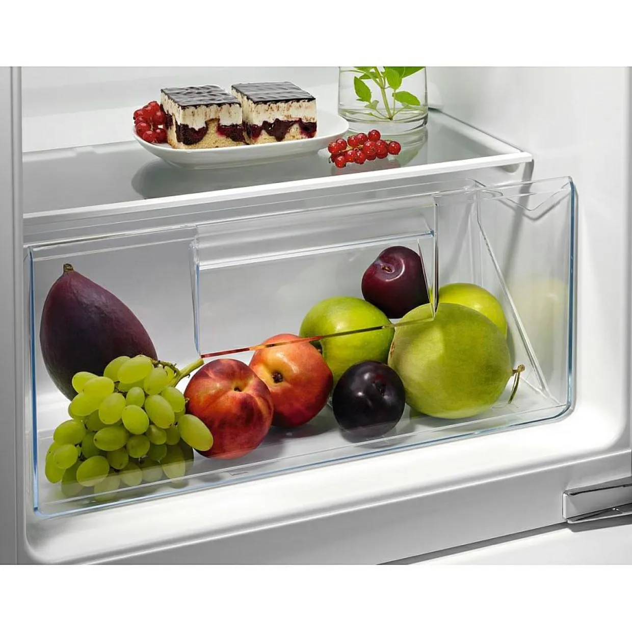 OSF5O88EF OptiSpace