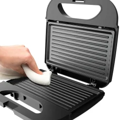 Panini