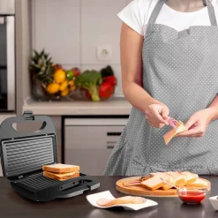 Panini