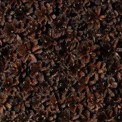 Pinecones