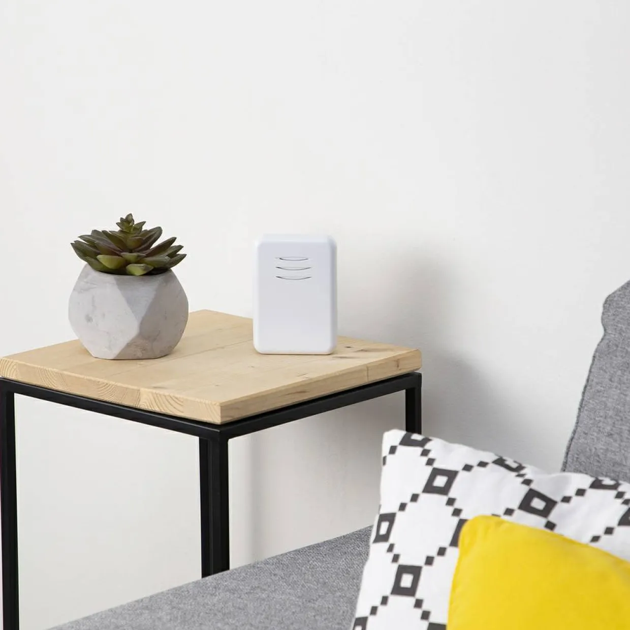 Plug-in och Portabel