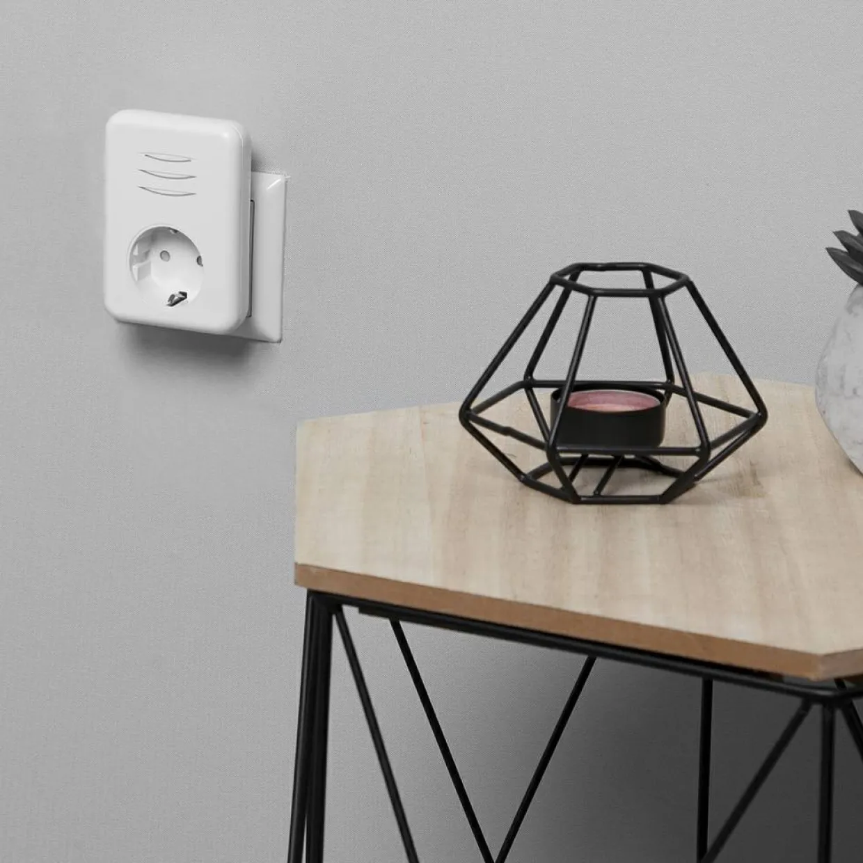 Plug-in och Portabel