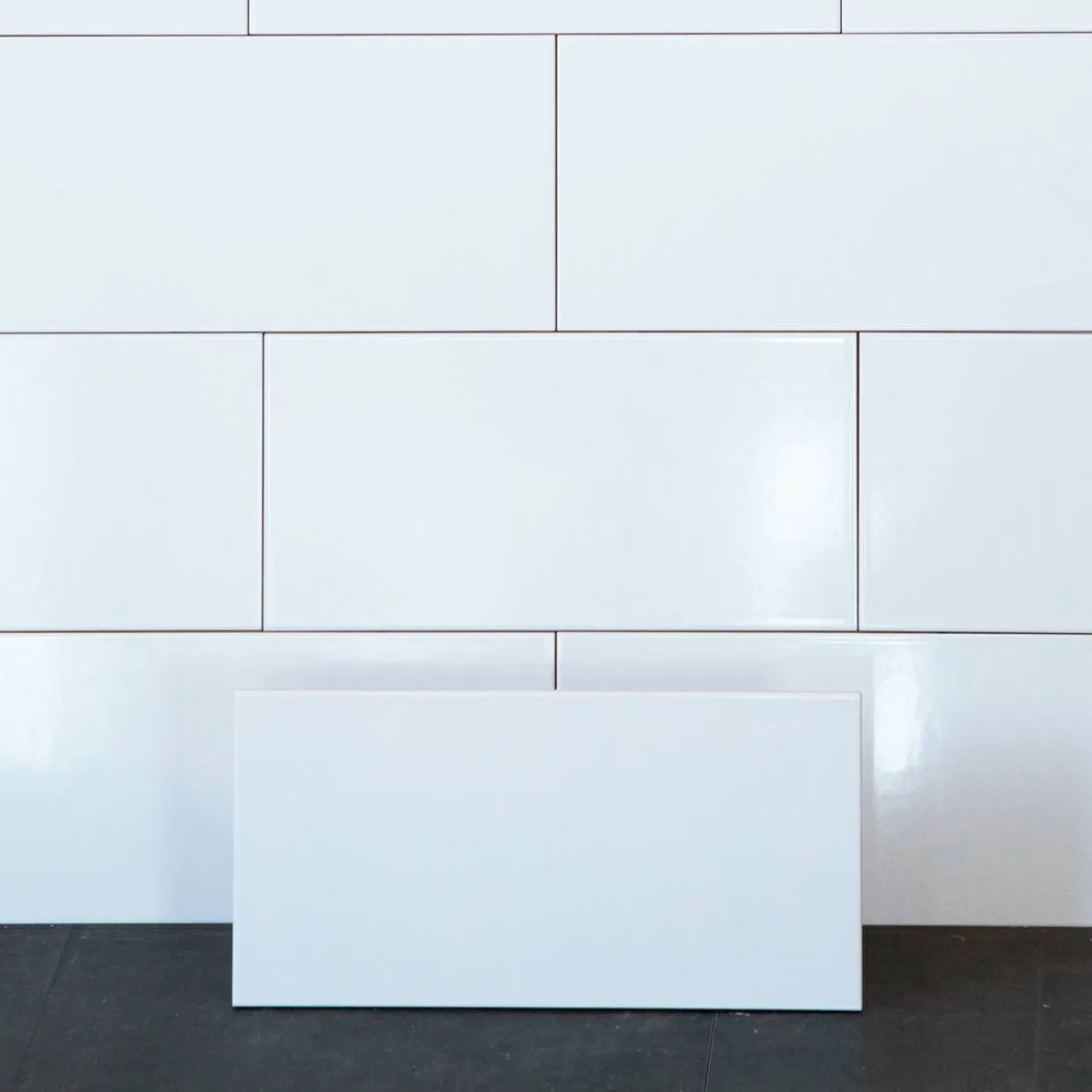 Polar Vit Blank 20x40 cm
