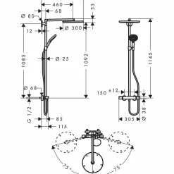Raindance Select 300 Showerpipe 150 cc