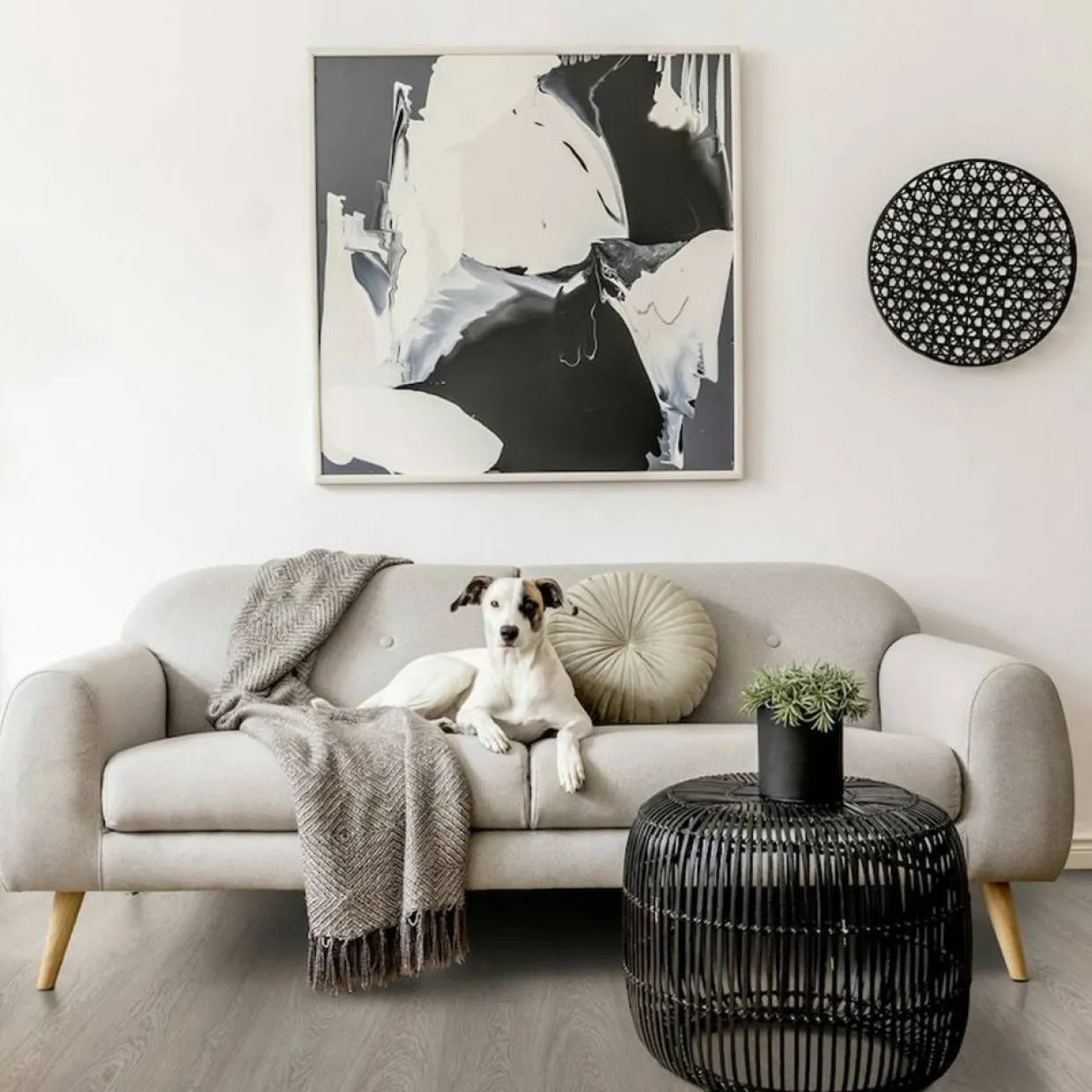 Senso Premium Clic Greenland Grey
