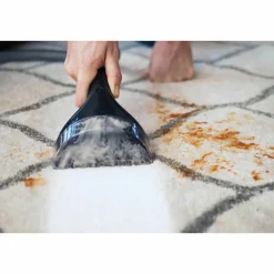 SpotClean Pro