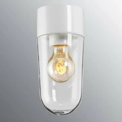 Stallglas Klar IP54 Rak E27