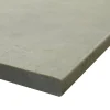 T006-RO Tectonica