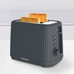 Två Slot Jonic Toast