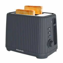 Två Slot Jonic Toast