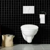 Wall med WC-fixtur och Spolplatta