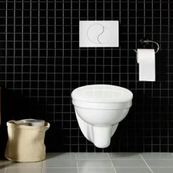 Wall med WC-fixtur och Spolplatta