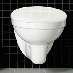 Wall med WC-fixtur och Spolplatta