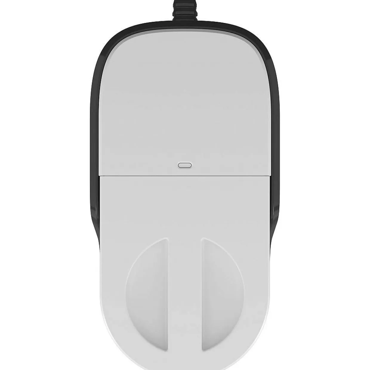 WMZMPF10